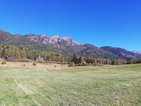 Appartamento Pezzol Apartment in Trentino-South Tyrol