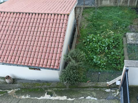 View (from property/room), Garden view