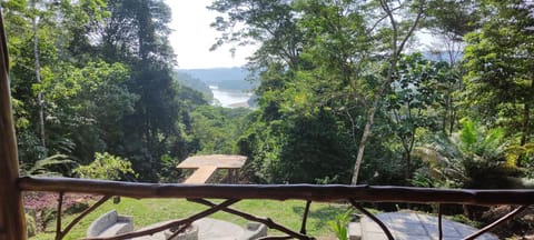Gaia Amazon Eco Lodge Lodge nature in Ecuador
