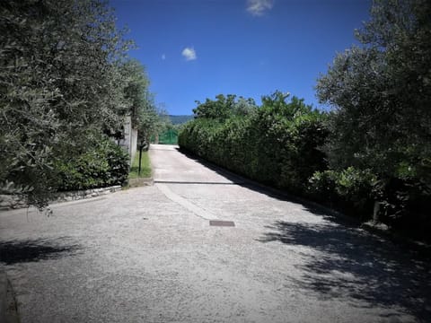 Quiet street view