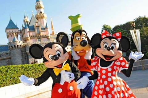 chambre d'hote Disneyland esprit Location de vacances in Bussy-Saint-Georges