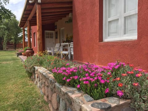 Spring, Garden, Garden view