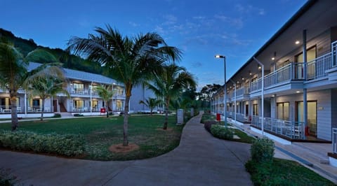 Property building, Night, Garden view