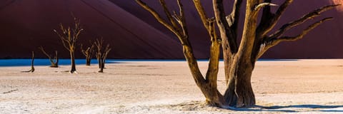 Dead Valley Lodge Hospedagem na natureza in Namibia