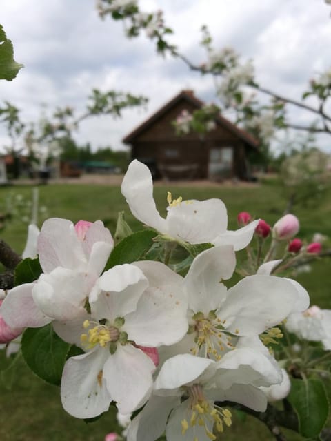 Skliausčių laisvalaikio centras Country House in Vilnius County, Lithuania