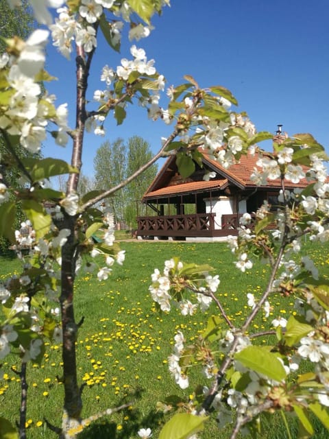 Skliausčių laisvalaikio centras Country House in Vilnius County, Lithuania