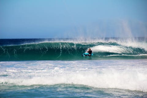 Activities, Windsurfing