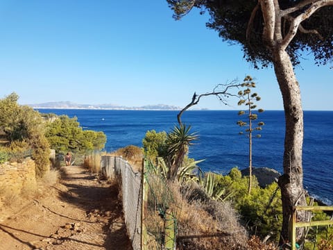 Villa de 5 chambres a Sausset les Pins a 500 m de la plage avec vue sur la mer piscine privee et jardin clos Villa in Sausset-les-Pins