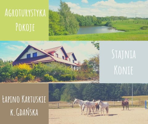 Agroturystyka Sakowcówka (stajnia) Bed and Breakfast in Pomeranian Voivodeship