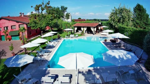 Garden, Pool view, Swimming pool