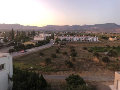 View (from property/room), Street view, Sunset