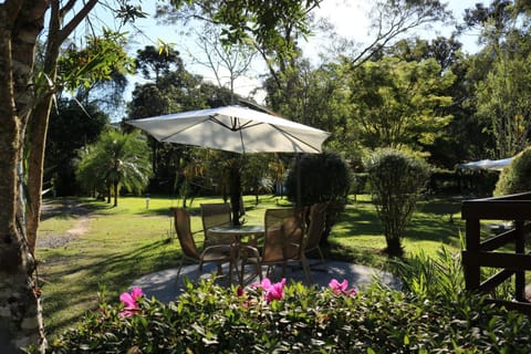 Day, Natural landscape, Garden, Garden view