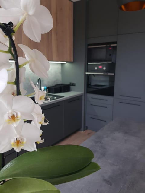 Luksusowe Apartamenty na Toruńskiej Apartment in Pomeranian Voivodeship