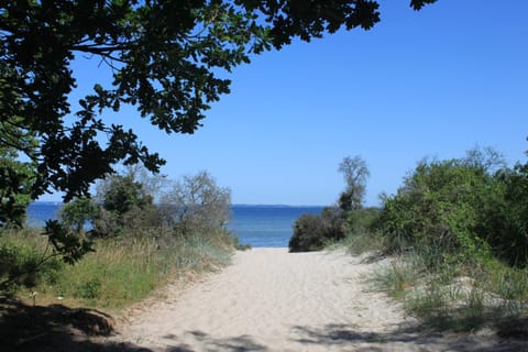 Natural landscape, Beach, Sea view