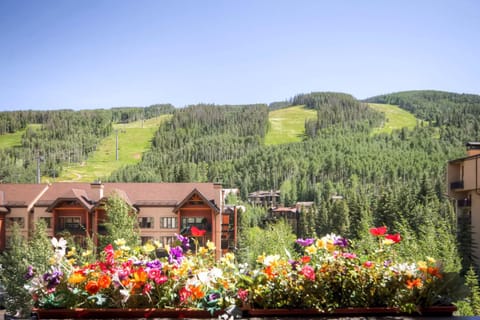 Lion Square Lodge Flat hotel in Lionshead Village Vail