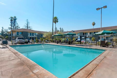 Pool view, Swimming pool