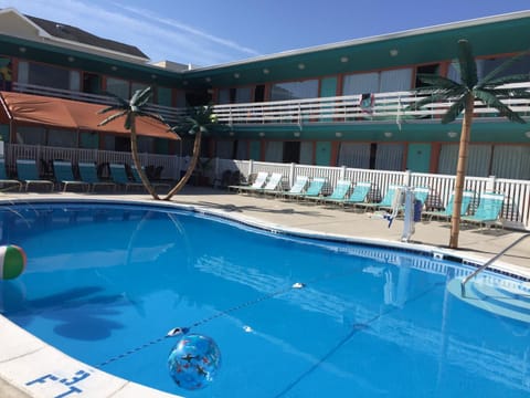 Dolphin Inn Motel in Wildwood