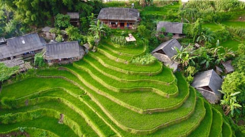 Property building, Natural landscape, Garden view