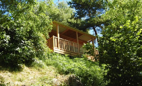 Day, Natural landscape, Garden