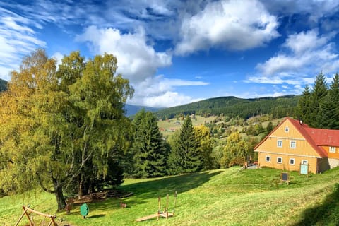 Neighbourhood, Natural landscape, Garden