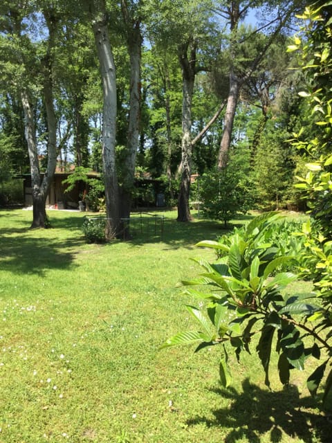 Villa Poveromo Villa in Province of Massa and Carrara