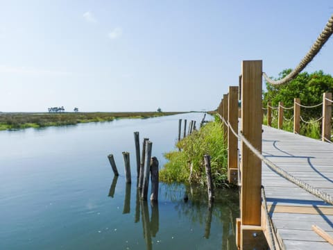 Natural landscape, River view