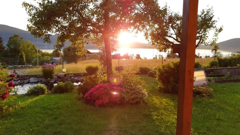 Garden, Sunset