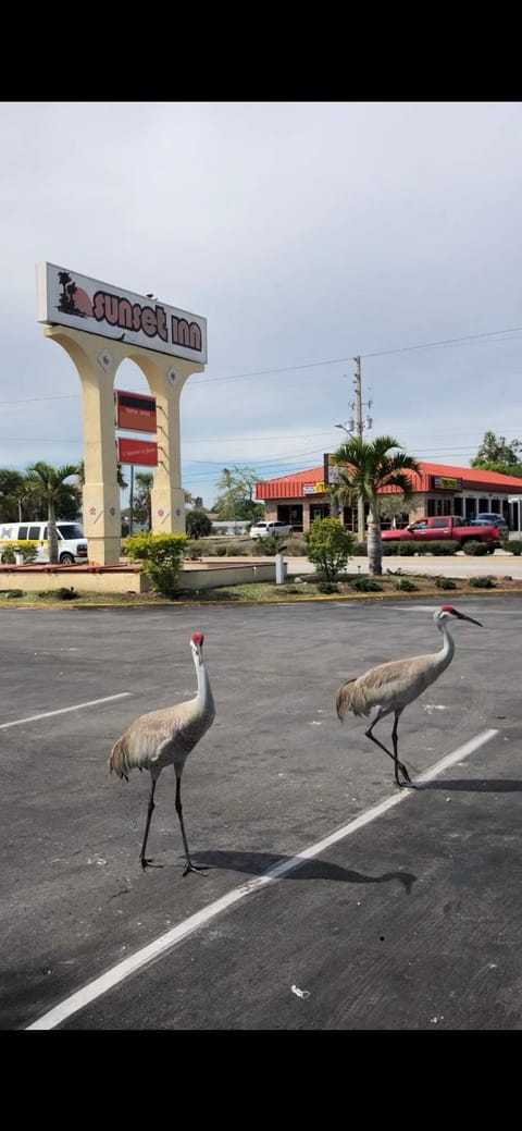 Sunset Inn- Fort Pierce, FL Motel in Fort Pierce