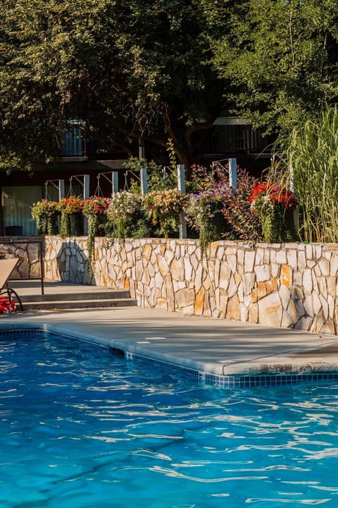 Pool view, Swimming pool