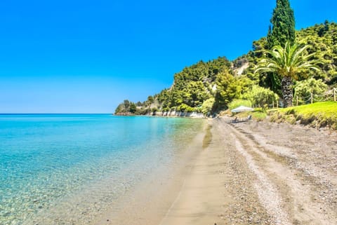 Neighbourhood, Natural landscape, Beach