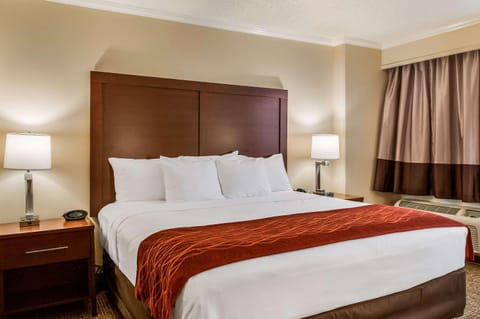 Comfort Inn & Suites At Copeland Tower Hotel in Metairie
