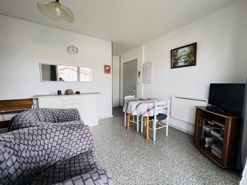 Appartement T1 lumineux avec balcon ensoleillé et parking, 2 couchages, Cambo-les-Bains - FR-1-495-16 Apartment in French Basque Country