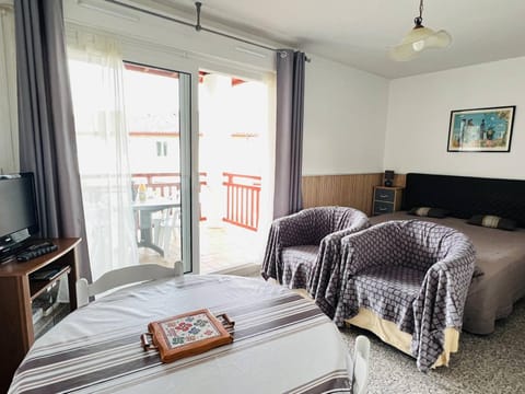 Appartement T1 lumineux avec balcon ensoleillé et parking, 2 couchages, Cambo-les-Bains - FR-1-495-16 Apartment in French Basque Country