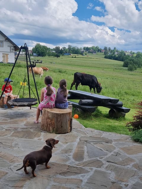 People, Animals, Pets, Landmark view, children, group of guests