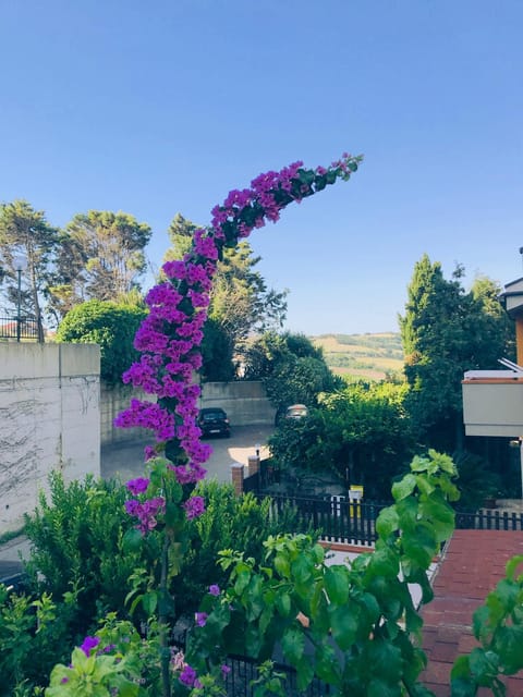 Le stanze di Botticelli Pousada com café da manhã (B&B) in Termoli