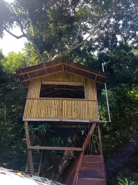 Treegana Hostel in Antioquia