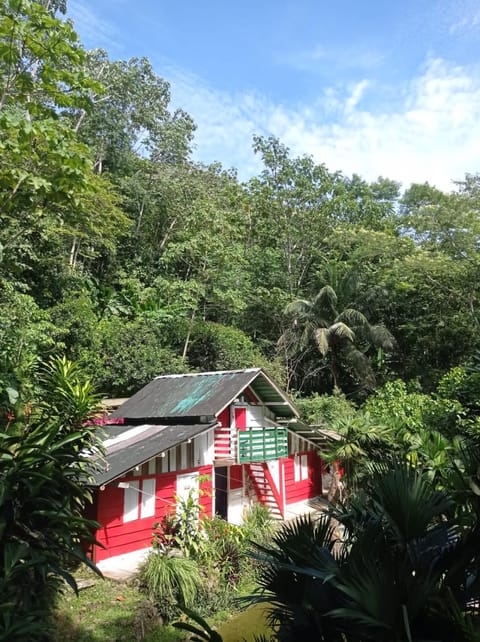 Treegana Hostel in Antioquia