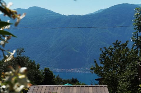 La dimora del viandante - Como Lake Condo in Mandello del Lario