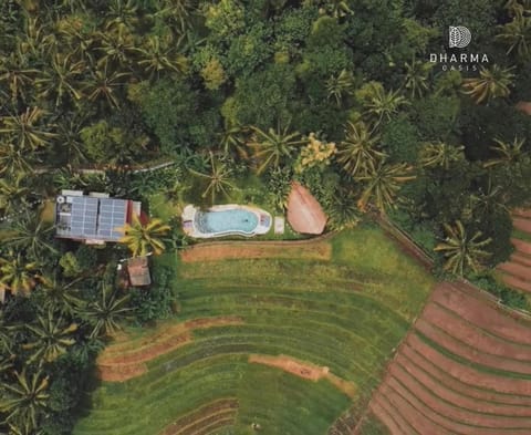 Property building, Natural landscape, Bird's eye view, Swimming pool, Location