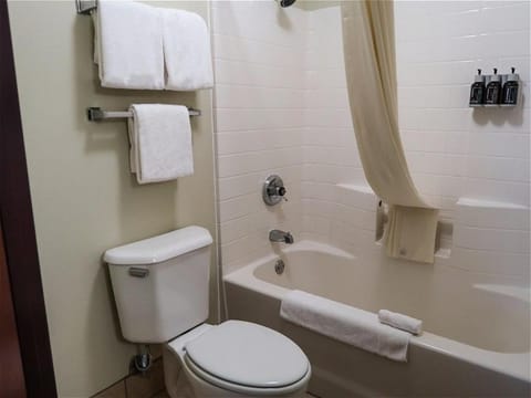 Shower, Toilet, Bathroom, Bath, towels