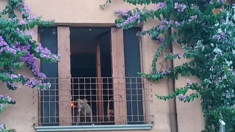 Holiday House Camillina Apartment in Salo