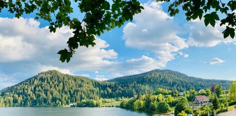 Le Chalet au bord du lac Hotel in Gérardmer