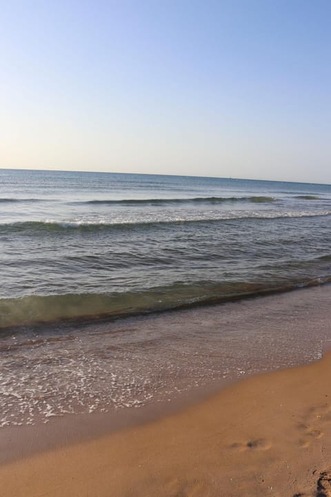 Natural landscape, Beach