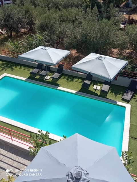 Pool view, Swimming pool, sunbed