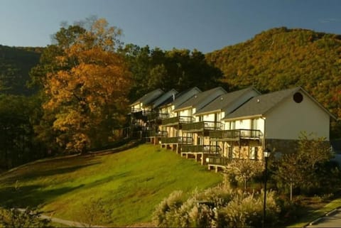 Kingwood Resort & Winery Resort in Georgia
