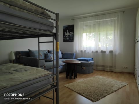 Photo of the whole room, Decorative detail, bunk bed