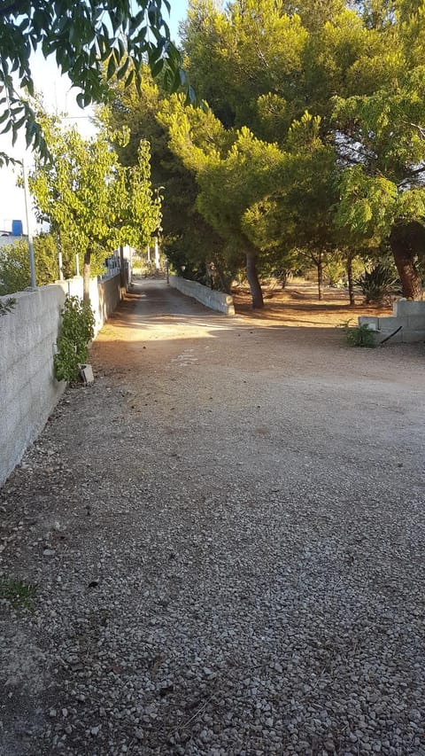 Garden, Garden view, Street view