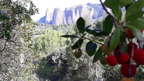 Despertar en Riglos Apartment in Navarre