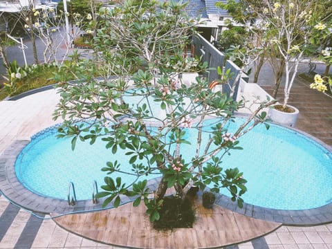 Pool view, Swimming pool