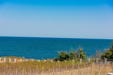 Natural landscape, Sea view